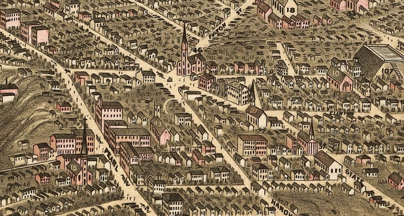 A Birds Eye View