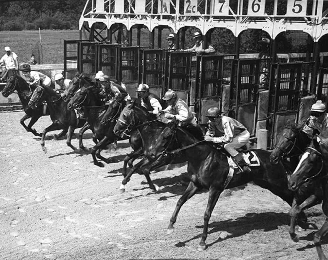 Starting Stalls at Randall Park