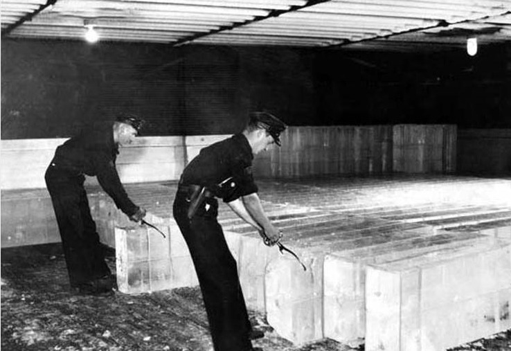 The City Ice and Fuel Company
