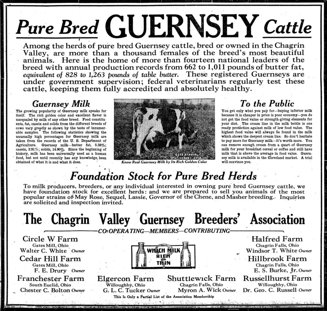 Advertisement for the Chagrin Valley Guernsey Breeders' Association