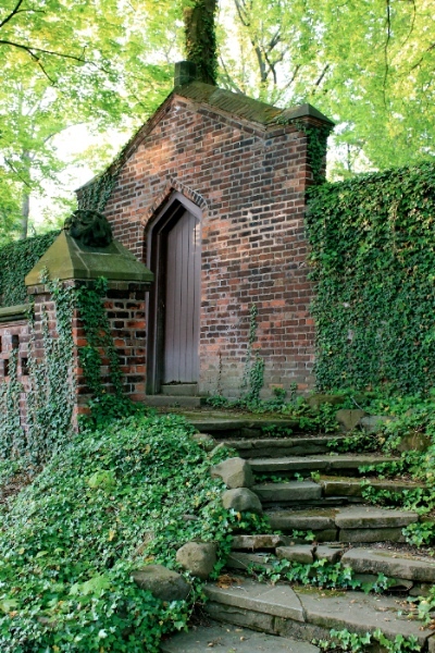Rear Gate