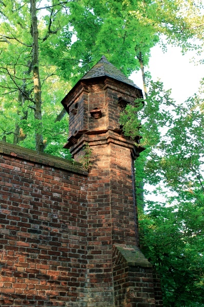 Martin House