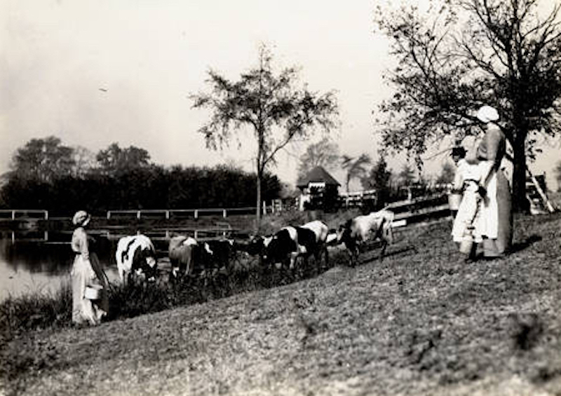 East View prior to allotment, 1914