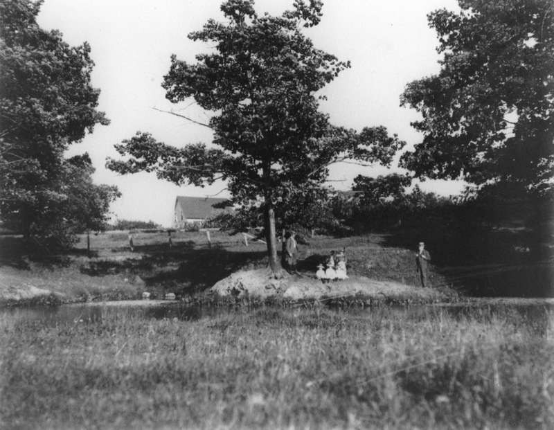 Severance Family Farm
