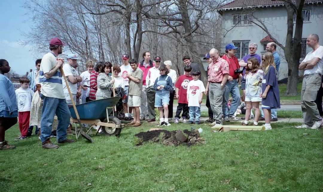 Planting a Tree