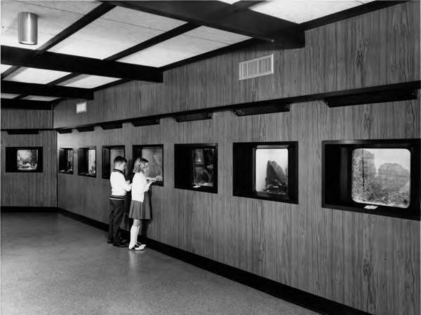 The Main Gallery