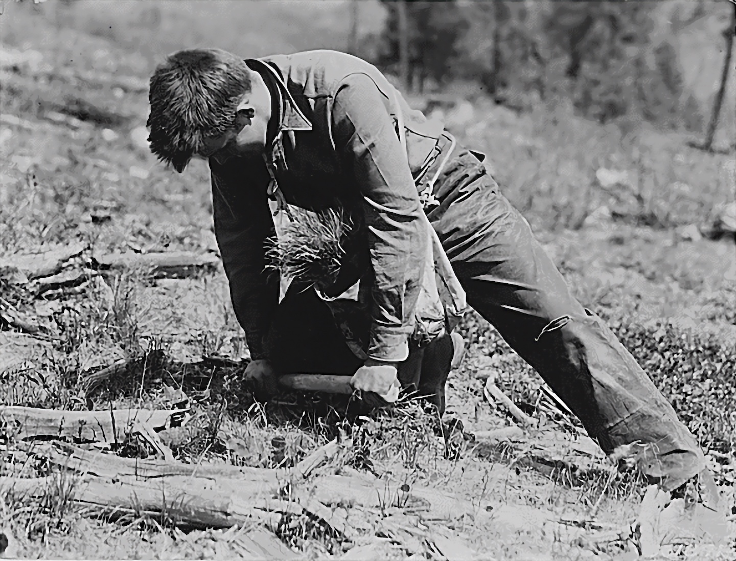 Planting Trees