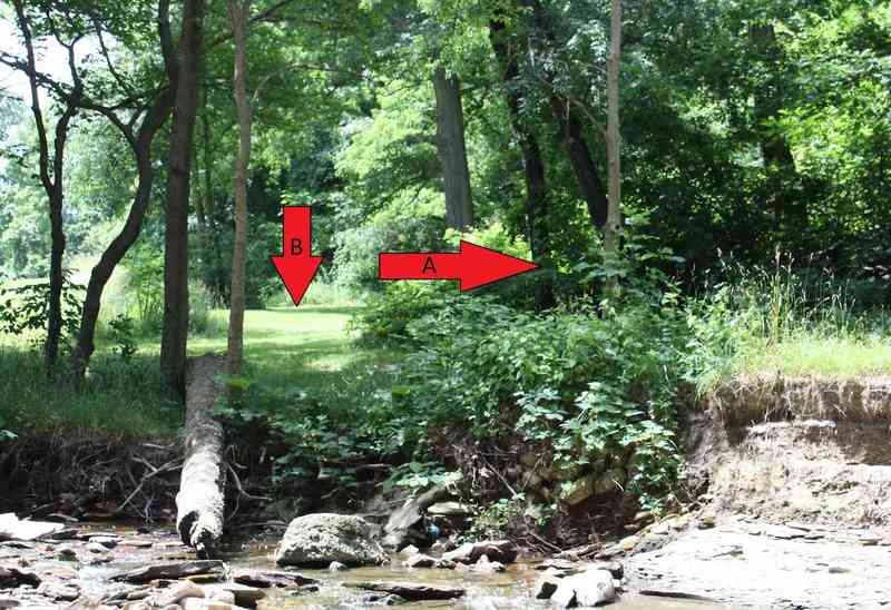 Mill Pond, 2011