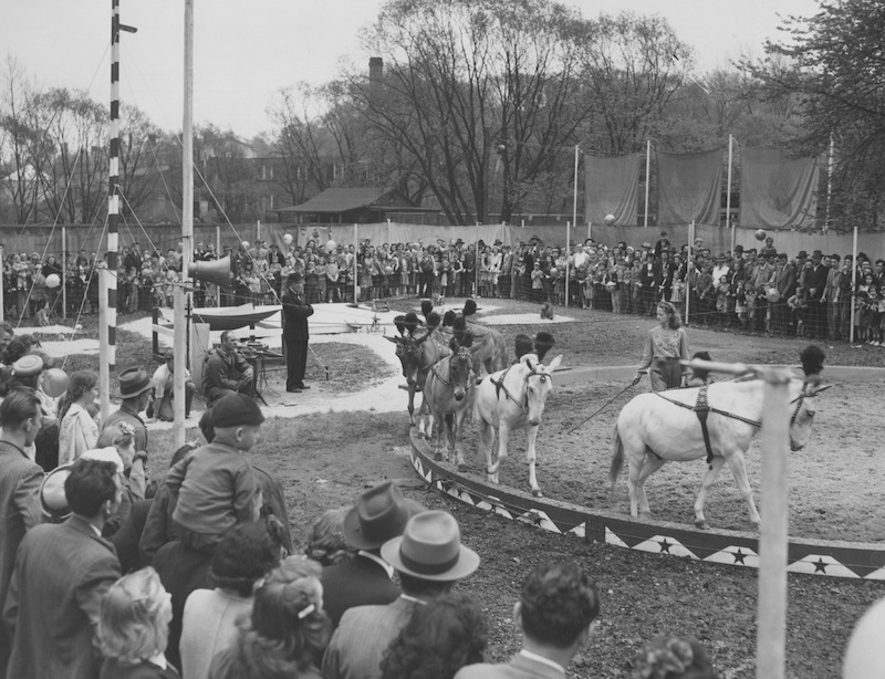 Zoo Circus, 1947