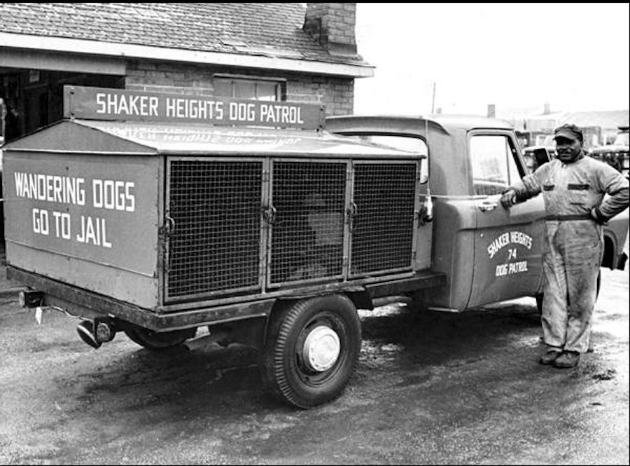 The hoosgow for stray dogs