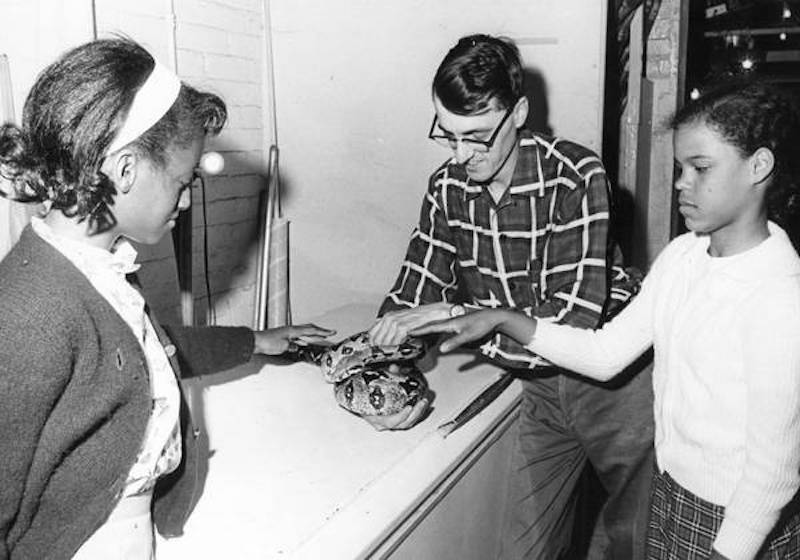 Students Enjoy the Aquarium Inhabitants