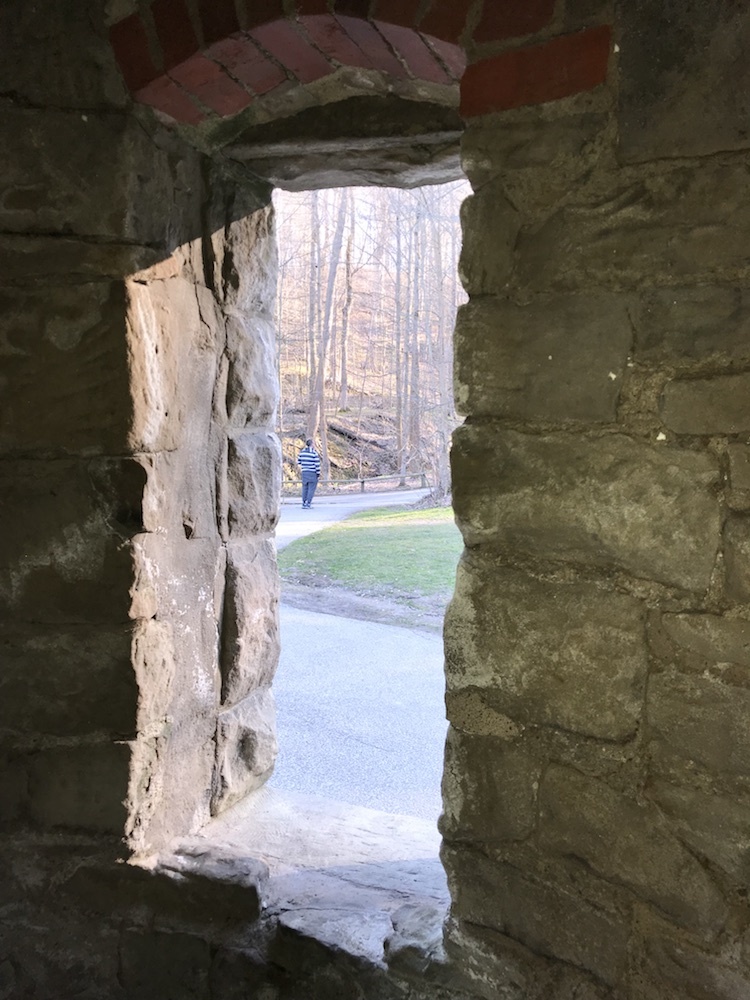 Hillside View from a Rear-facing Window