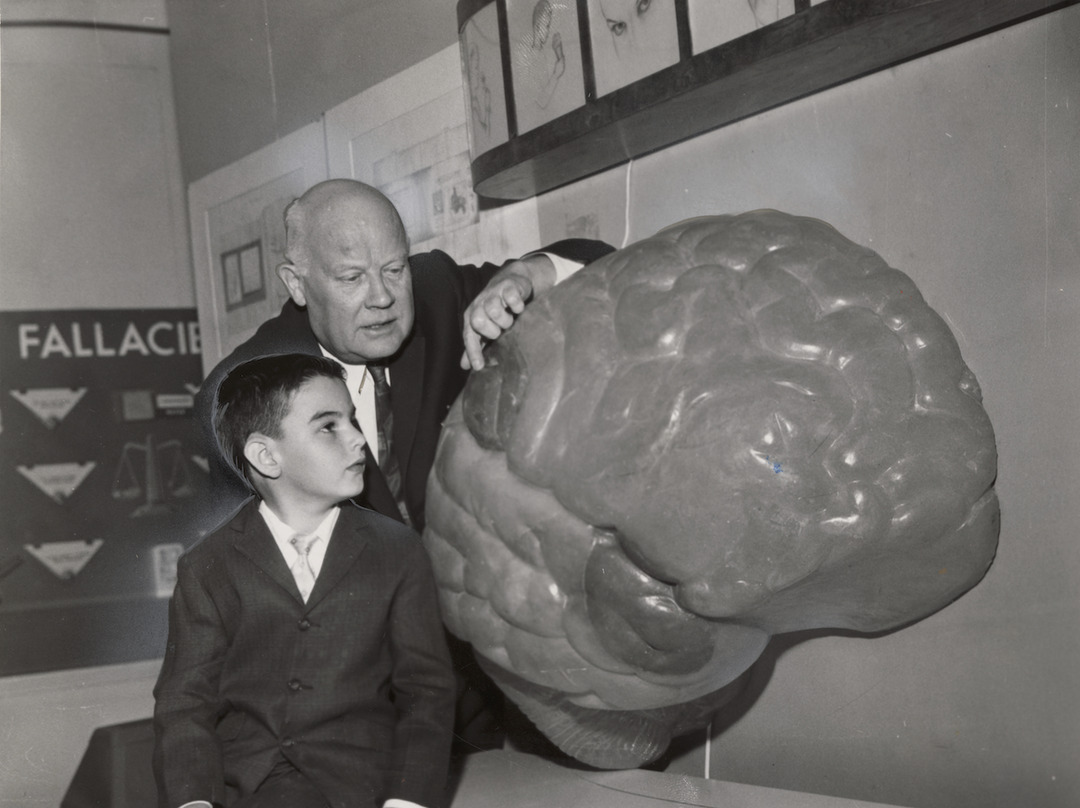 A Lesson in the Human Brain by Dr. Gebhard