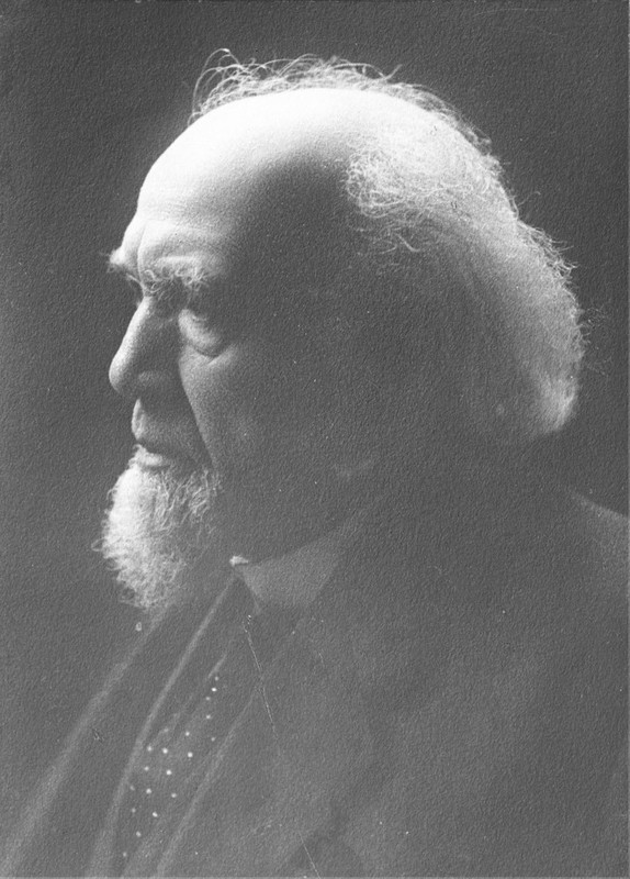Liberty E. Holden (1833-1913)