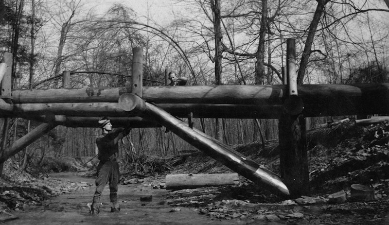 Building Bridges at Euclid Creek Reservation