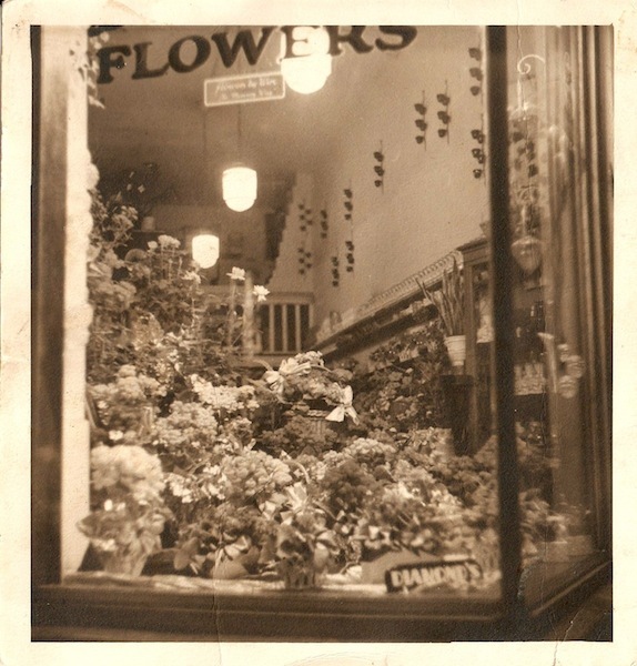 Shop Window
