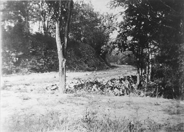 Cedar Glen, 1893
