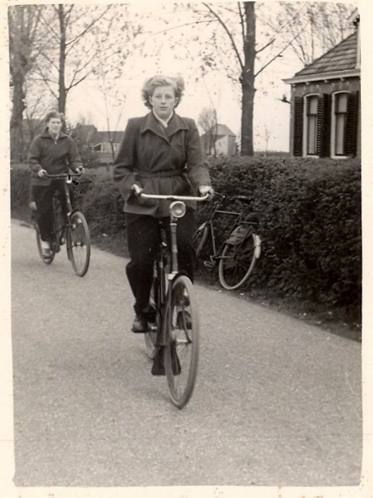Bicycles, 1955