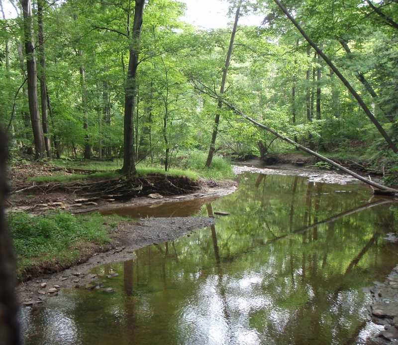 Porter Creek, 2011