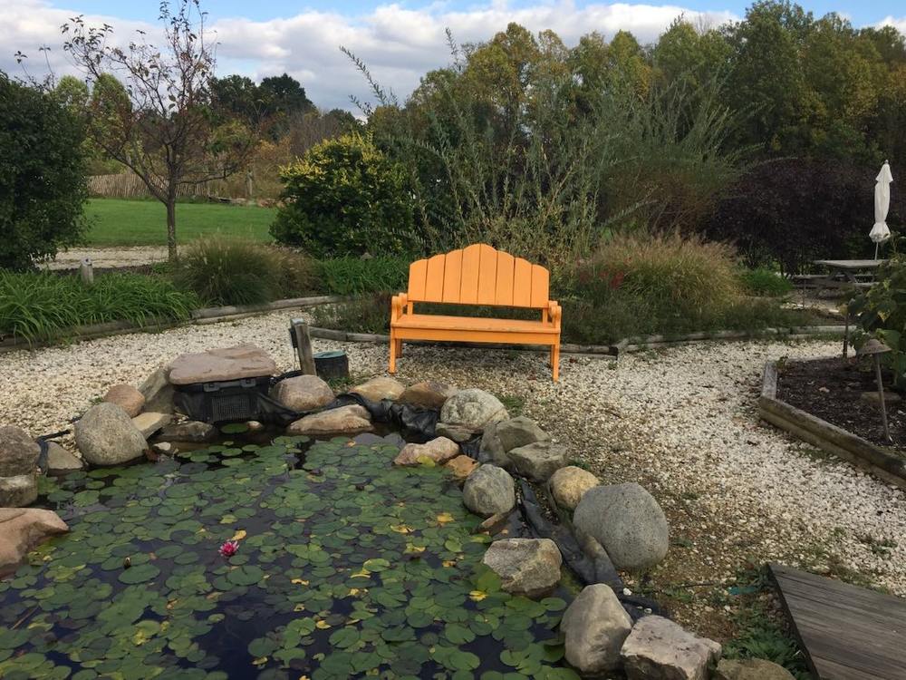 Butterfly Garden