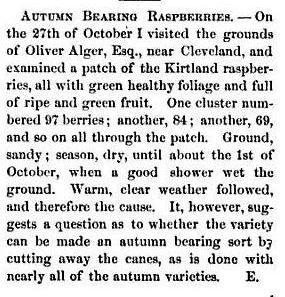 A Pioneer Horticulturalist
