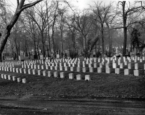 Military Graves, Section 72