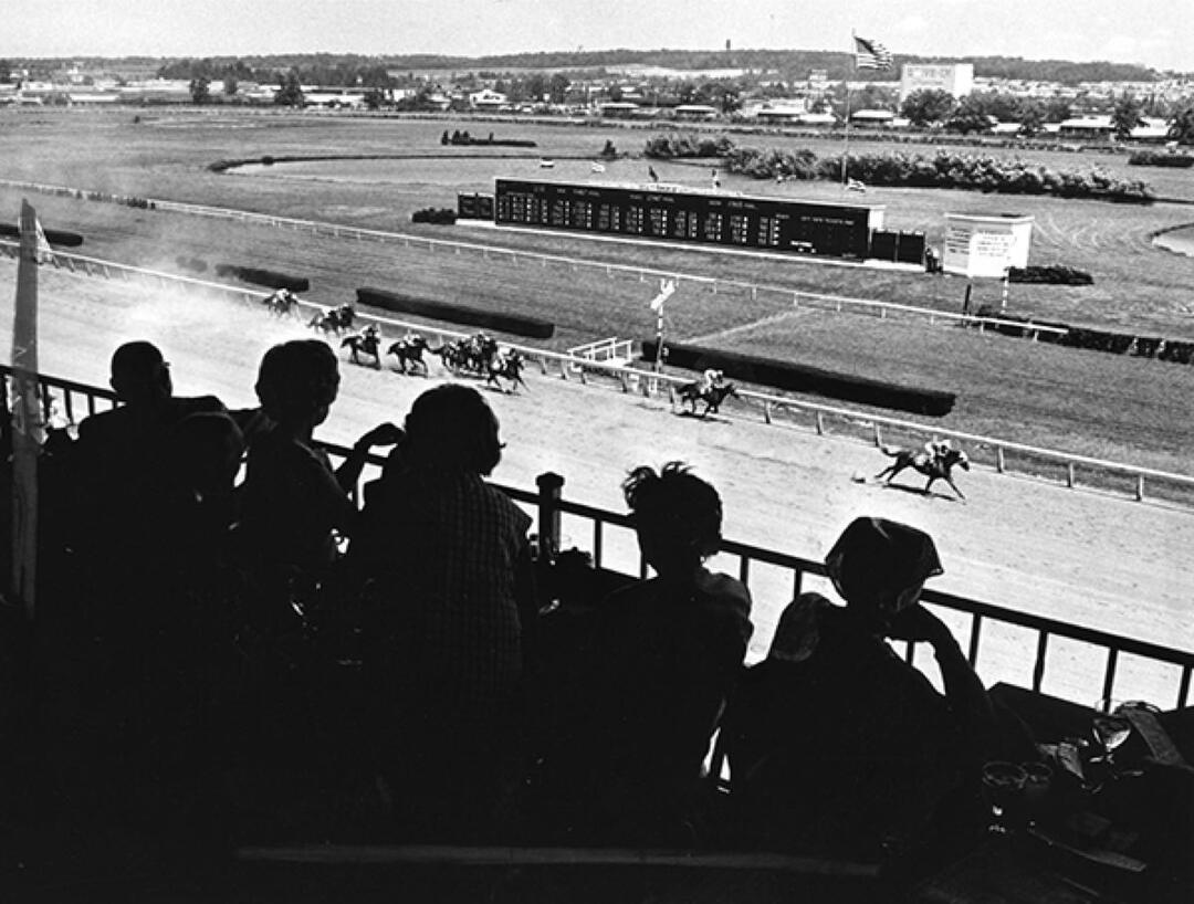 In the Grandstand