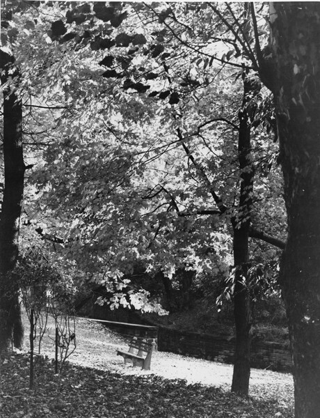 Finnish Cultural Garden, 1959