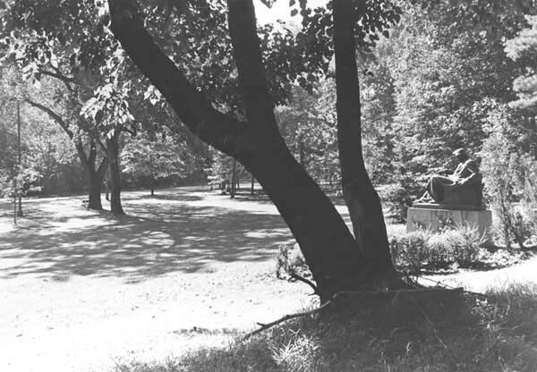 Romanian Garden, 1970