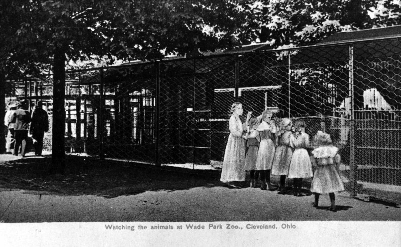 Girls Visit Animals at Wade Park
