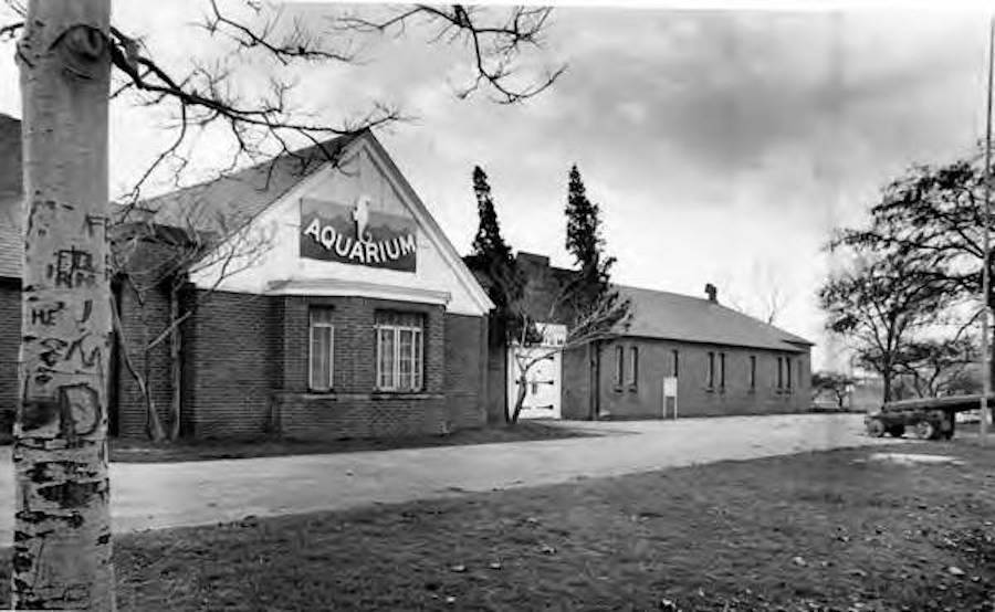 The Trailside Museum turned Aquarium