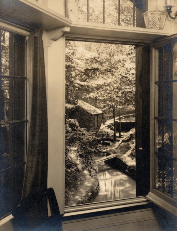 Garden Seen From Window