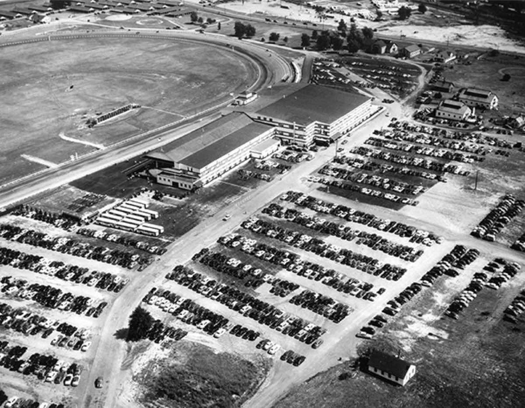 Bird's-eye View of Randall Park