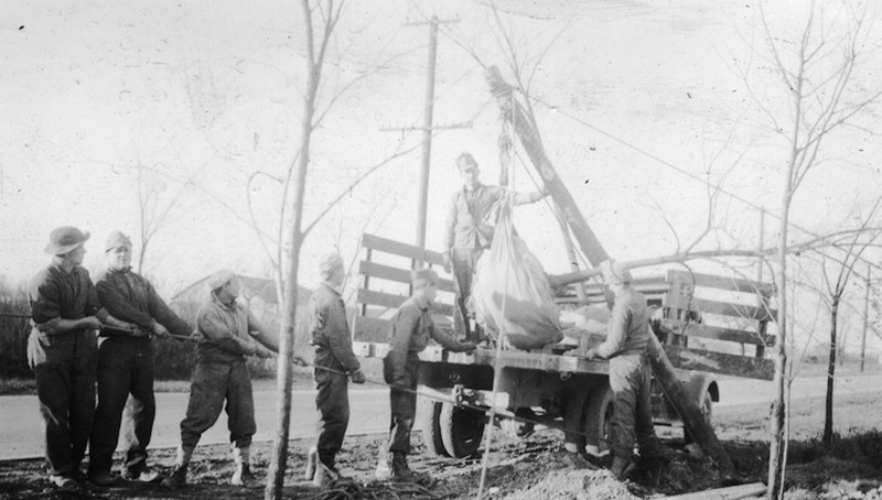 Tree Planting in Euclid Creek Reservation