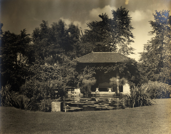 Lily Pond