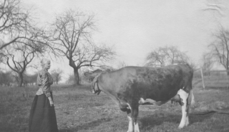 In the Orchard Pasture, 1915