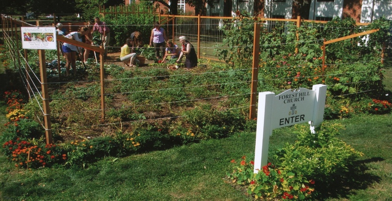 Abundance Acres, ca. 2011