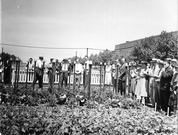 Victory Garden