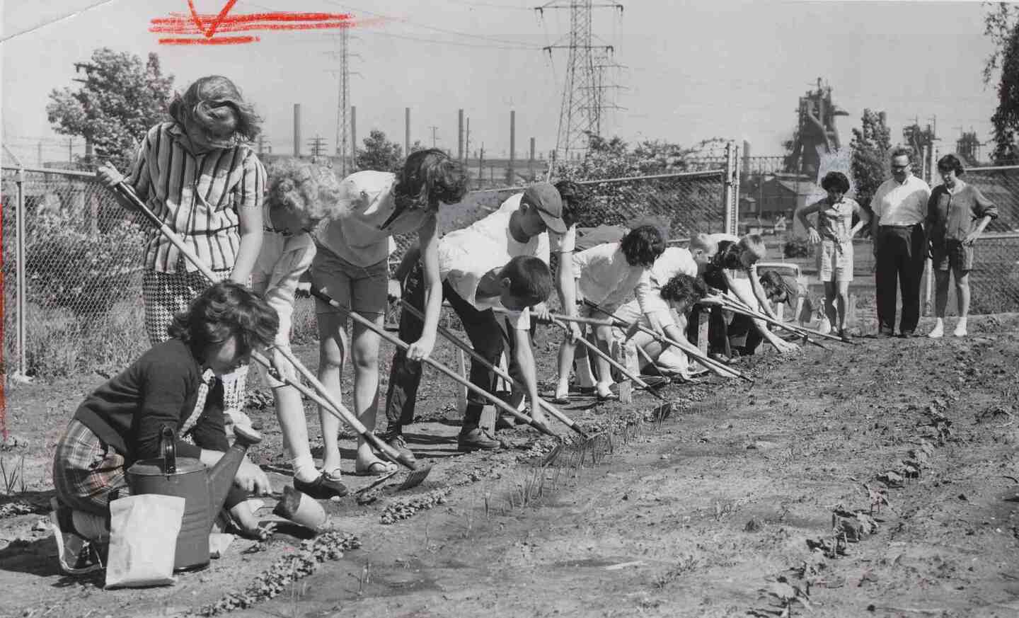 Garden Project, 1962