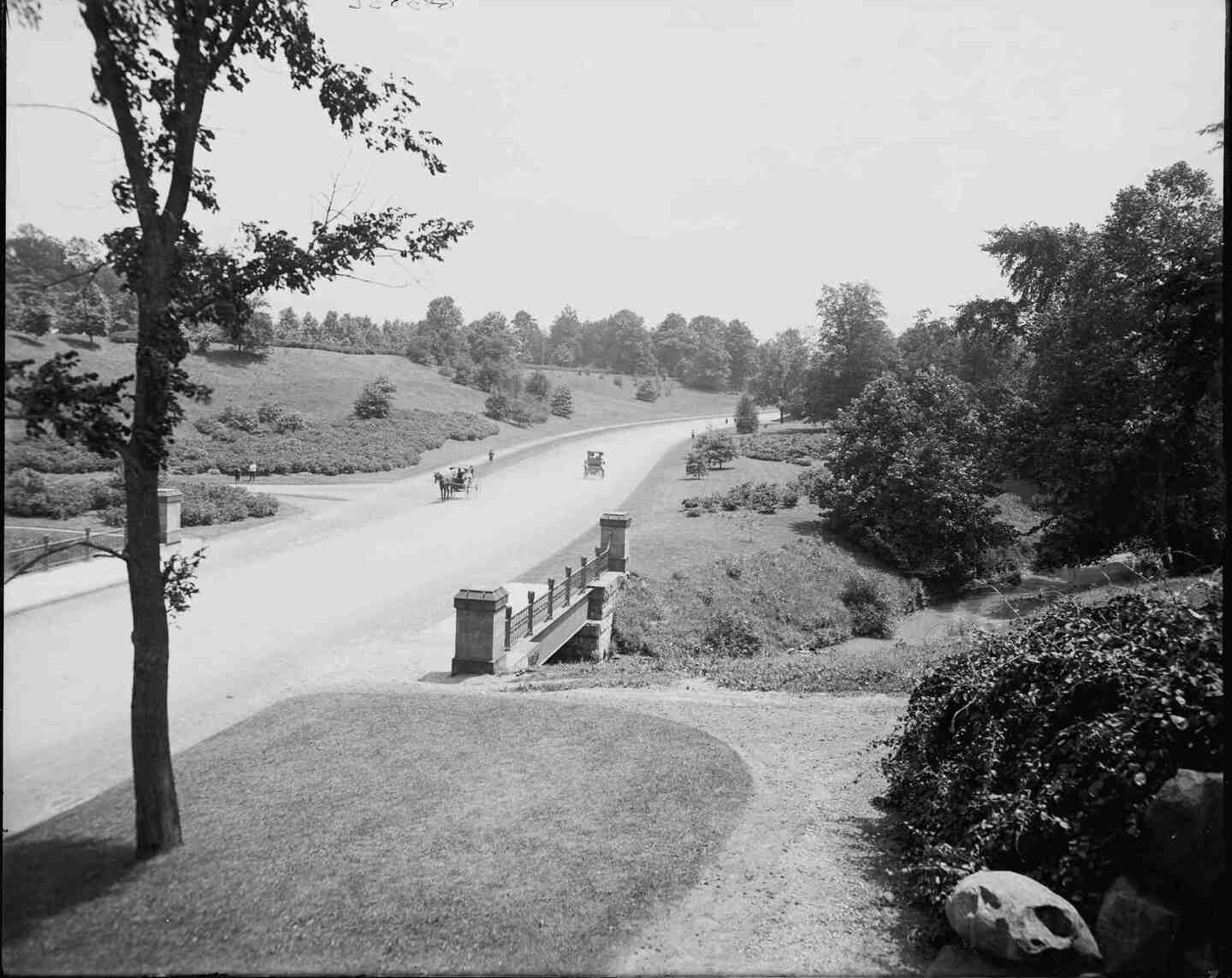 An Early Scene in Rockefeller Park