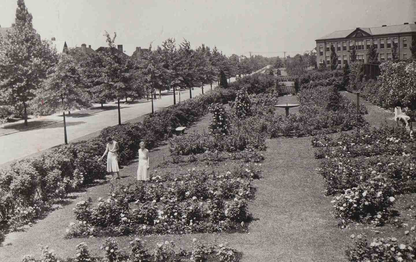 High School Garden, ca. 1920